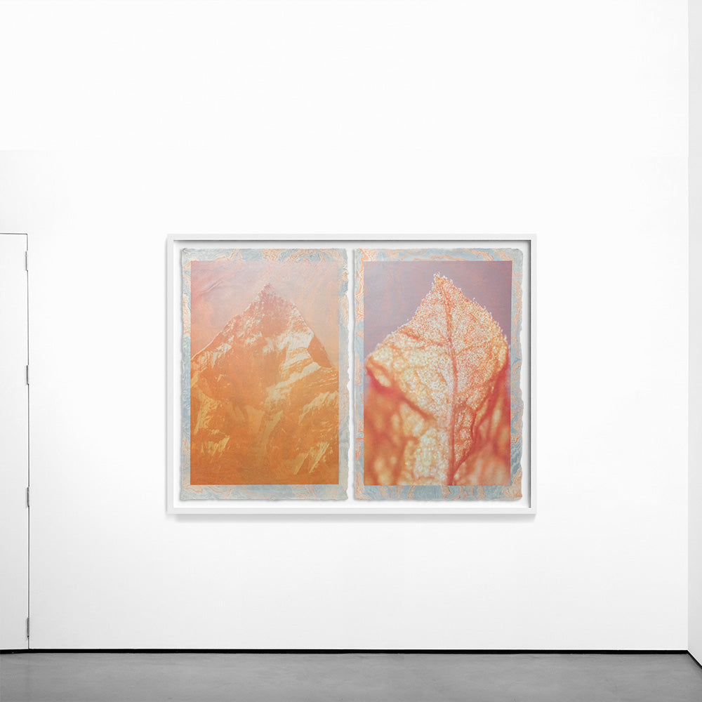 Untitled Diptych