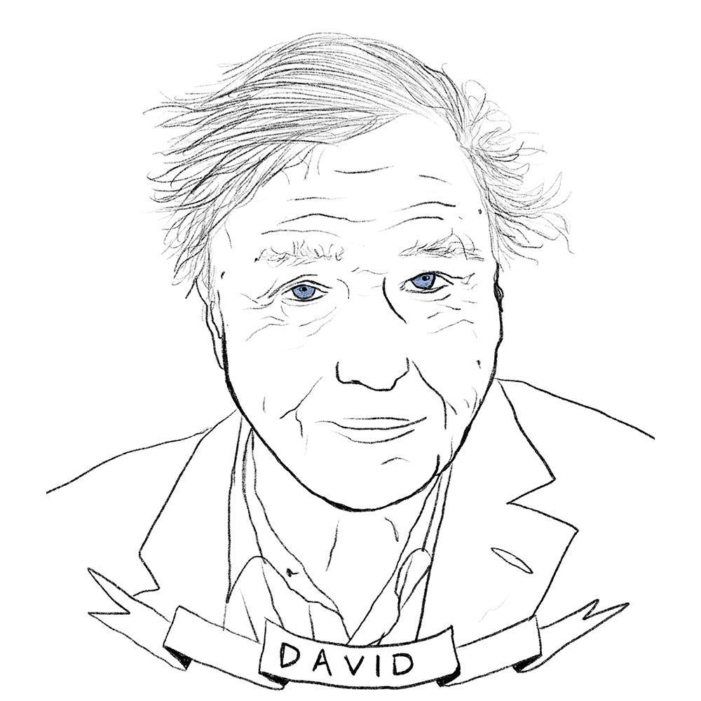 Guardian of the galaxy Sir David Attenborough pencil sketch by Scotbag  2480 x 3508 pixels  rArtPorn